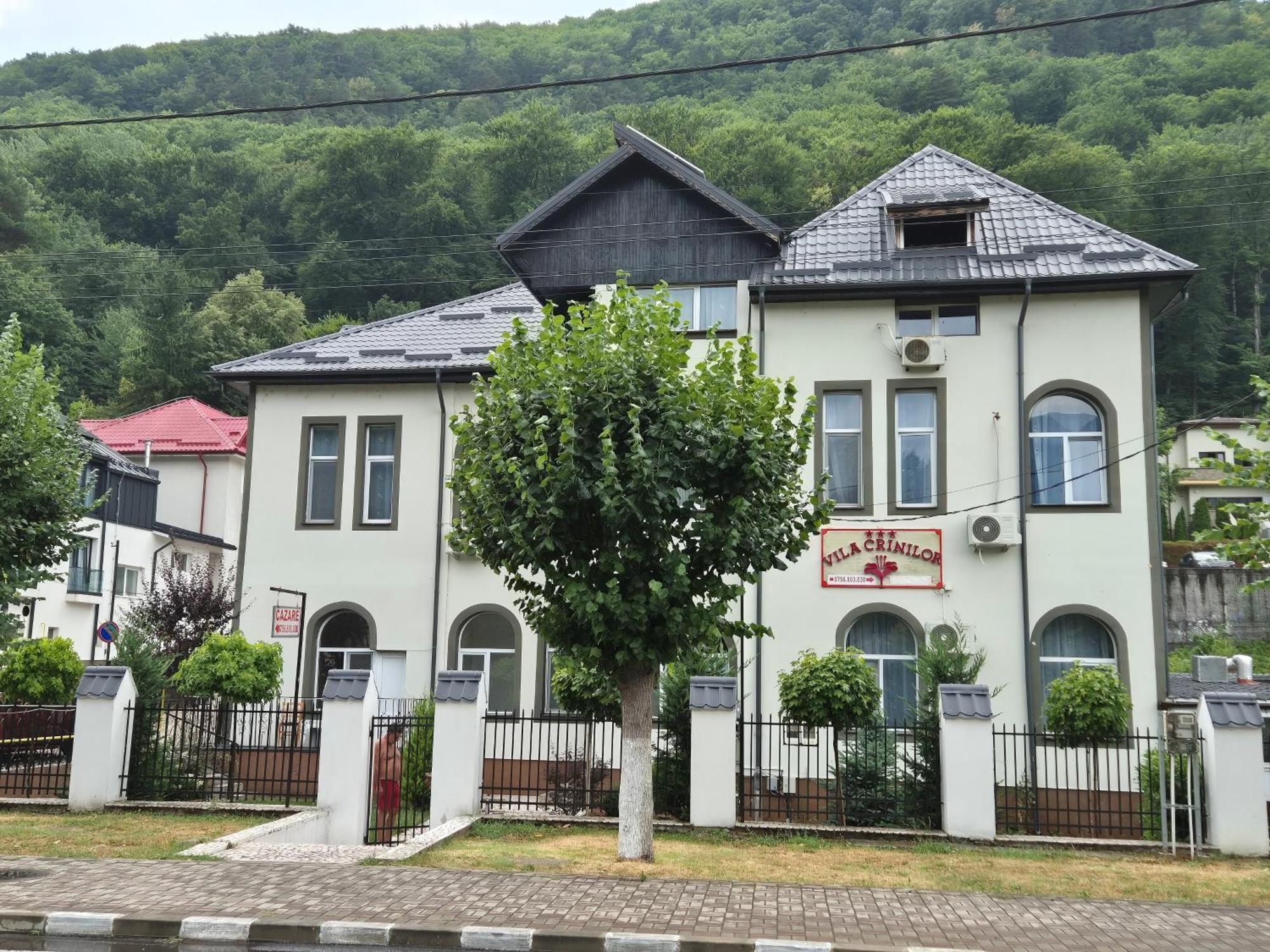 Vila Crinilor Călimăneşti Bagian luar foto
